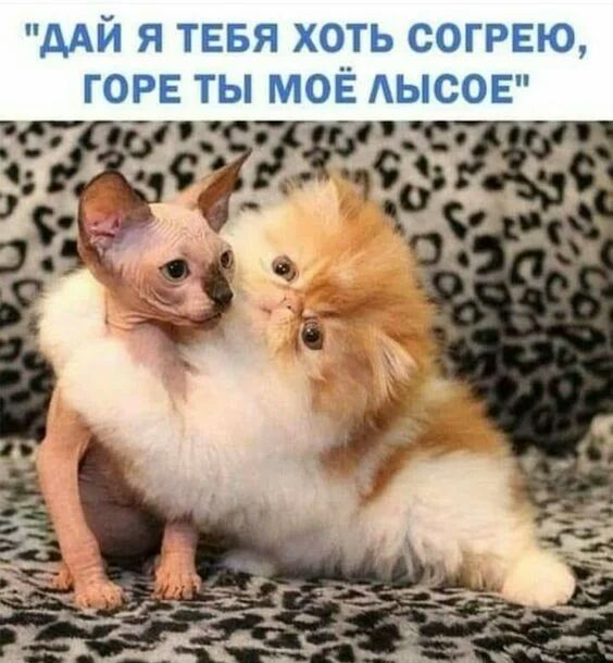 дАЙ Я ТЕБЯ ХОТЬ СОГРЕЮ ГОРЕ ТЫ МОЁ АЫСОЕ