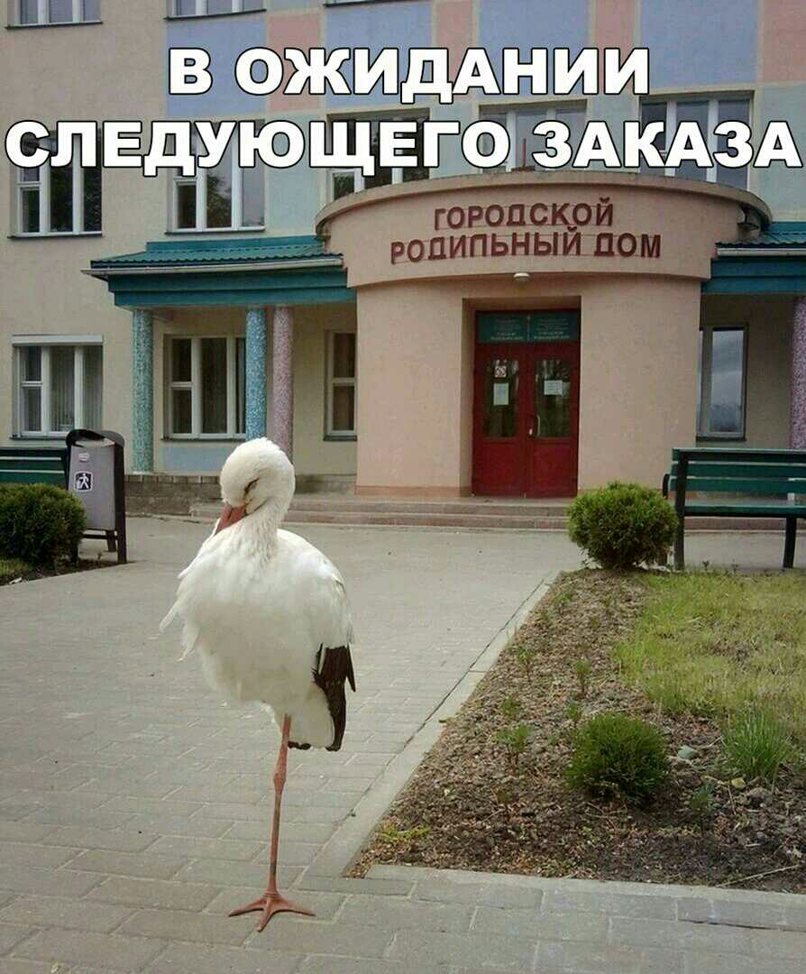 ЩЬЕ _і в жгшмвми Ф городской _ роЦИПЬНЫЙ пом