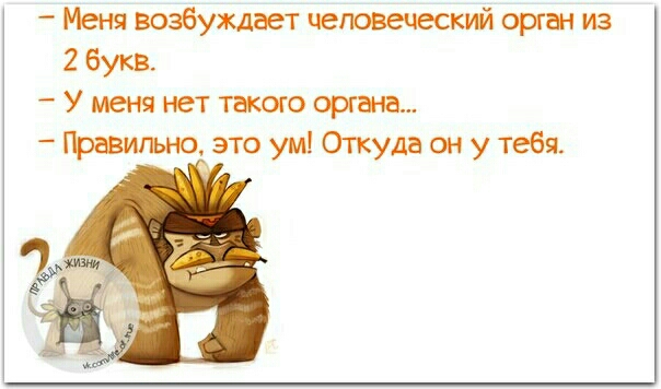 4 Меня возёУждает четвечеёкий орган из 2 букв У меня нет такого оргии Правильно это ум Откуда он у тебя