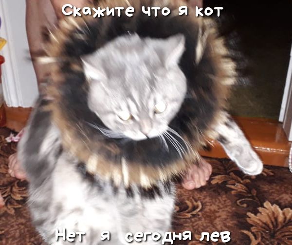 Зажитё ЧГБ 531 _