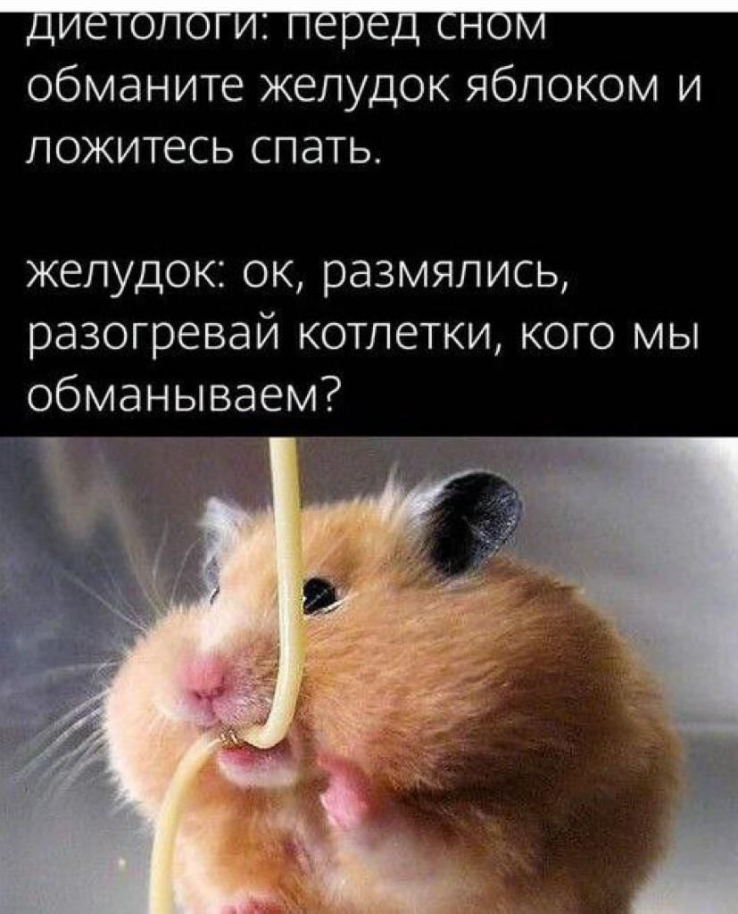 обманите желудок яблоком и ложитесь спать желудок ок размялись разогревай котлетки кого мы обманываем Ёе
