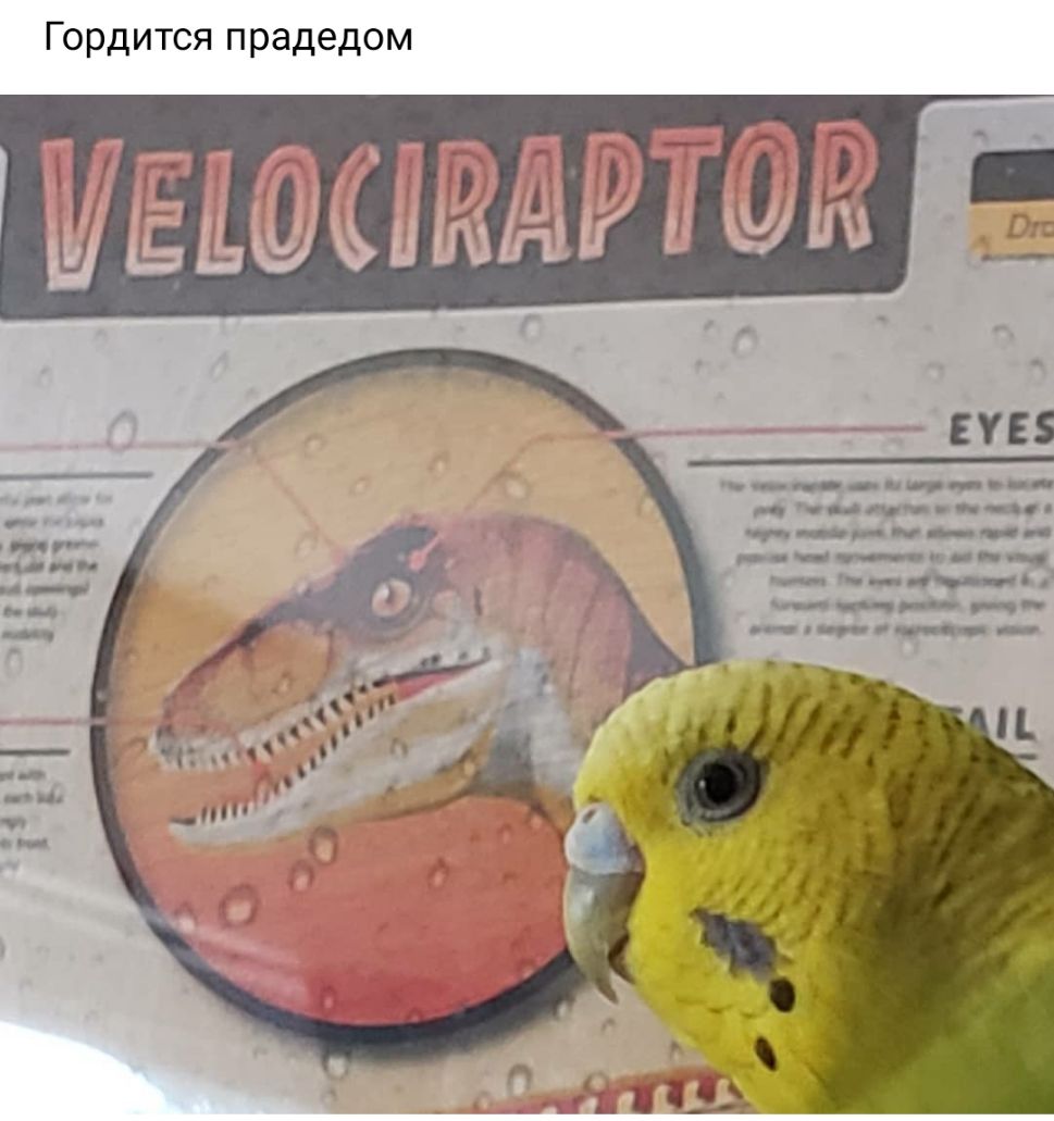 Гордитсяпрадедом ЕУЕ __ __Ь_ чнцЮ ЦО тт ___ ___ц _МБ ___ п _п р_в_ _