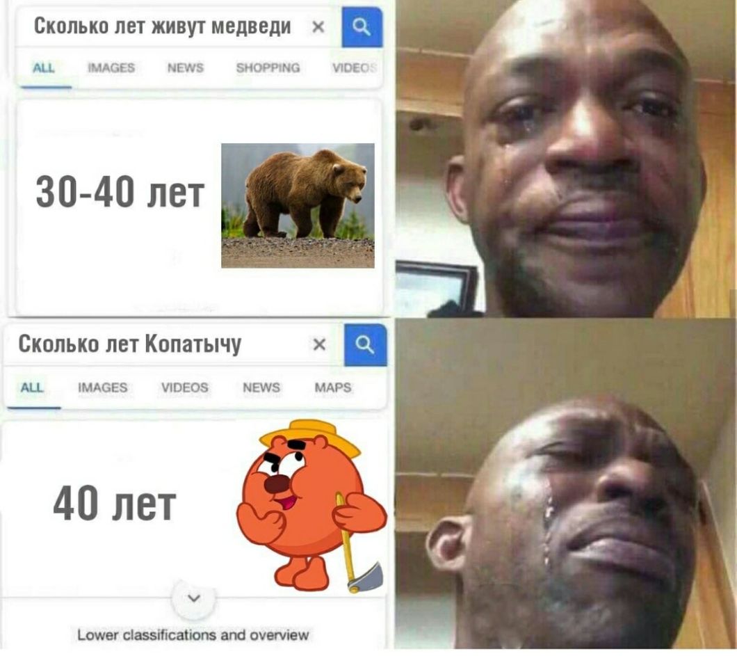 Сколько лет живут медведи Щ МАГ і 5 РЧБ ЗНОРГЧМО ИОП 30 40 лет Сколько лет Копатычу АЦ МА6Е ЮЕОЗ ММЗ МАРЗ 40 лет ч ошег сіаэзтсаііопз апа очепіеш