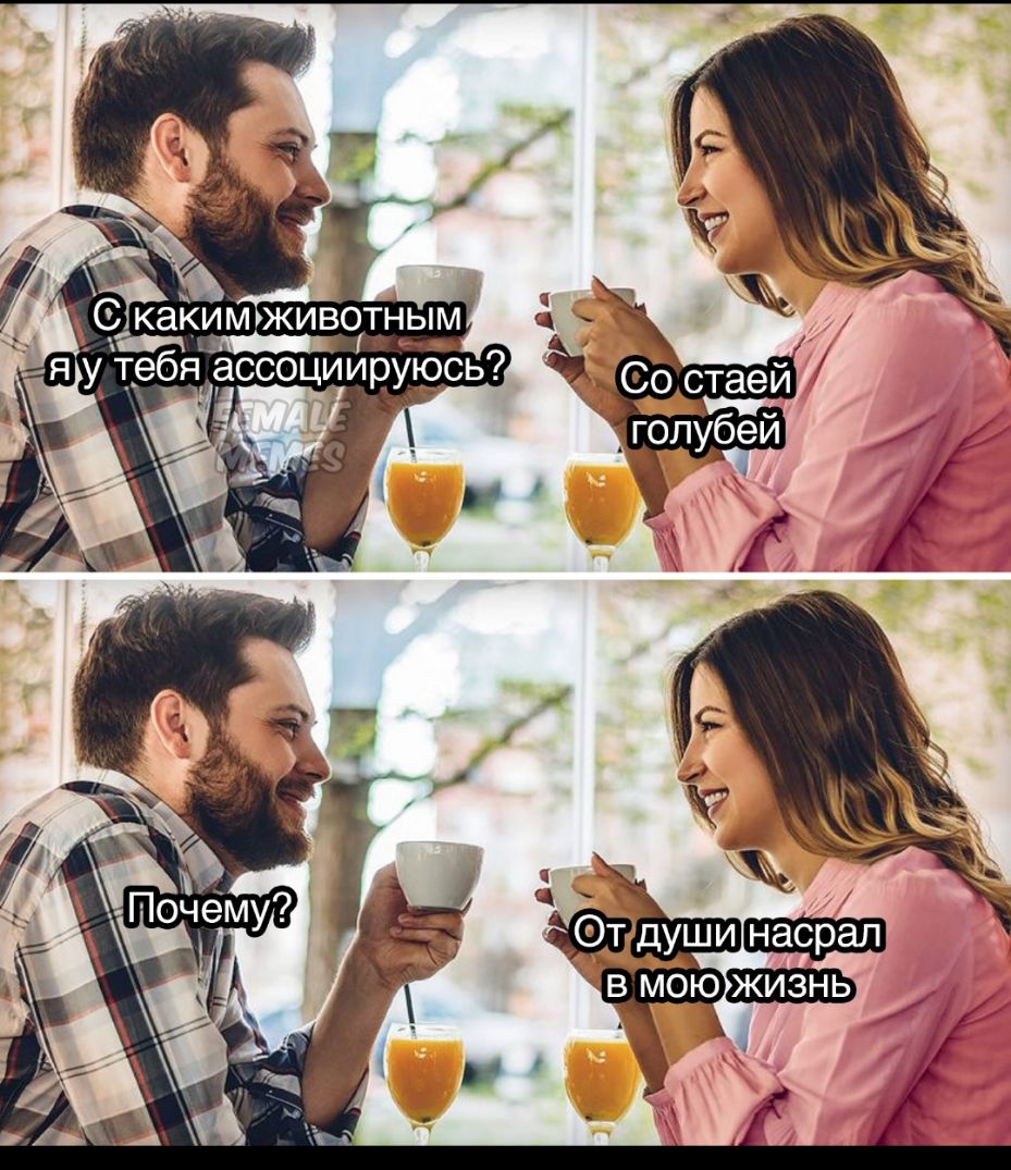 С каким животны_м ч я у тебя ассоциируюсь _ Со стаей