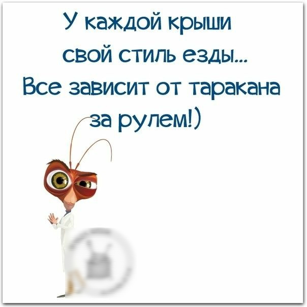 У каждой крыши свой стиль езды Все зависит от таракана а рулем