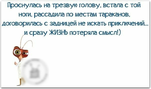 Проснулась на трезвую голову встала с той ноги рассадипа по местам тараканов договорилась с задницей не искать приключений сразу ЖИЗНЬ потеряла смысл