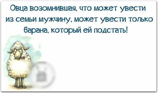 Овца возомнившш что может увести из семьи мужчину может увести только барана который ей подстать