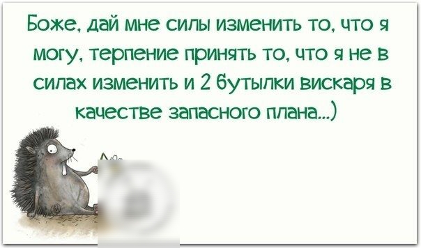Боже дай мне сипы изменить то что я могу терпение принять то что я не в силах изменить и 2 бутылки вискаря в качествг запасного плана г