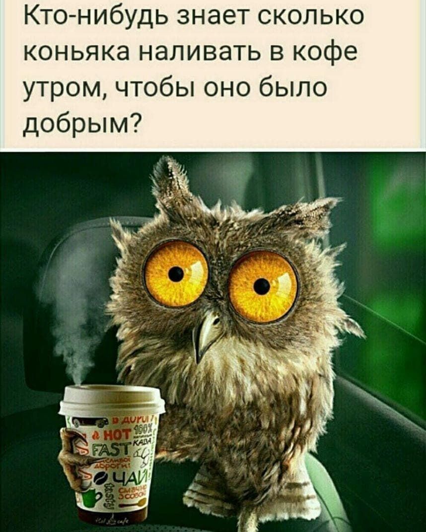 Кто нибудь знает сколько коньяка наливать в кофе утром чтобы оно было добрым