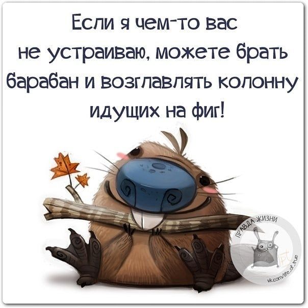Если я чемто вас не устраиваю можете брать барабан и возглавлять колонну идущих на фиг