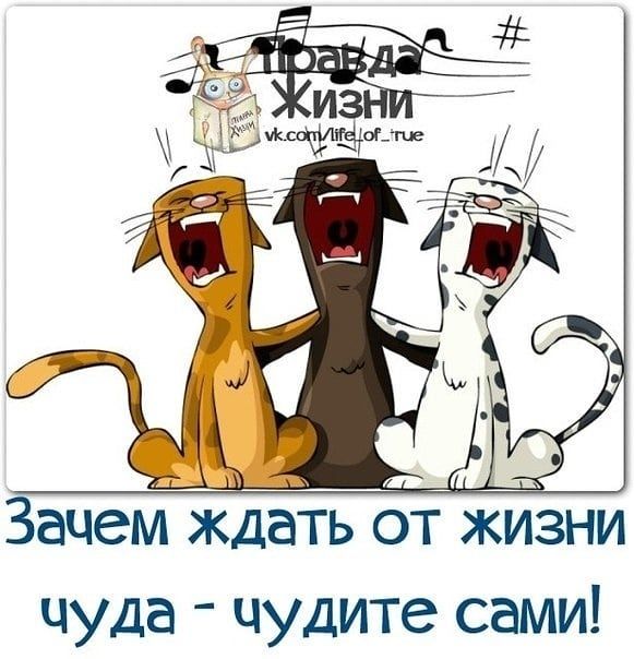 Зачем ждать от жизни чуда чудите сами