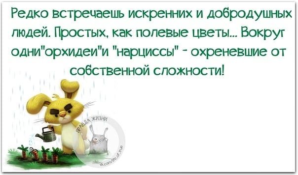 Редко встречаешь искренних и добродушных пюдей Простых как полевые шзеты Вокруг одниорхидеии нарциссы охреневшие от собственной сложности