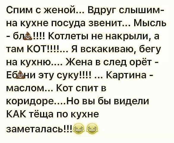 Спим с женой Вдруг слышим на кухне посуда звенит Мысль б Котлеты не накрыли а там КОТ Я вскакиваю бегу на кухню Жена в след орёт Ебёани эту суку Картина маслом Кот спит в коридореНо вы бы видели КАК тёща по кухне заметалась