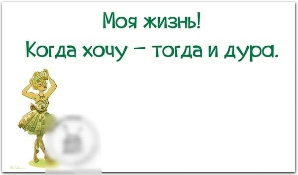 Моя жизнь Когда хочу тогда и дура