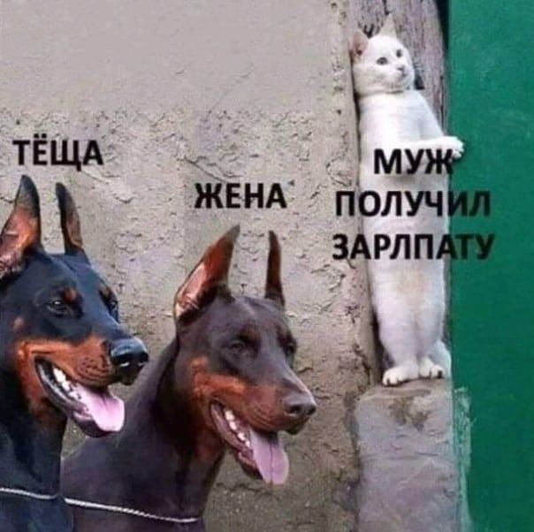 ГЁЩА му ЖЕНА Получ