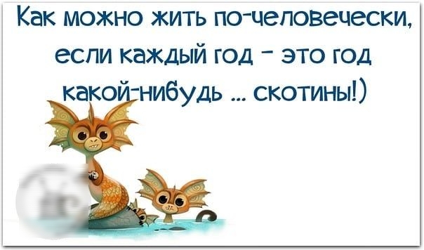 Как можно жить по чеповечески если каждый год это год како нибудь скотины