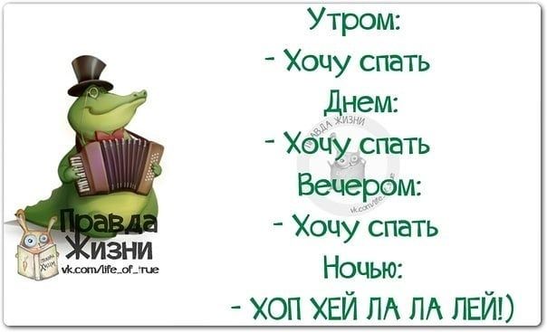 Утром Хочу спать Днем Хёцу спать Вечером Хочу спать Ночью хоп ХЕЙ пд ЛА пей