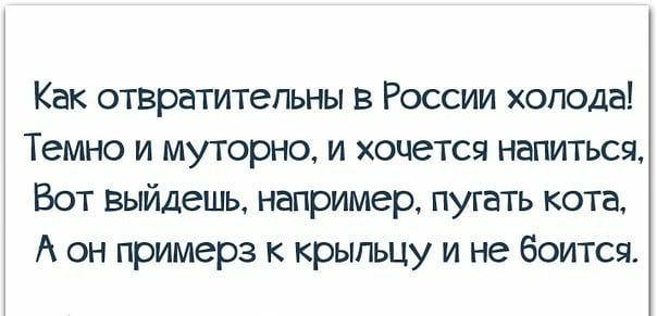 Как отвратительны в России холода Темно и муторно и хочется напиться Вот выйдешь например пугать кота А он примерз к крыпьцу и не боится
