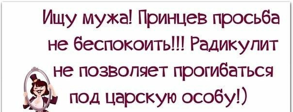 Ищу мужа Принцев просьба не беспокоить Радикулит не позволяет прогибаться под царскую особу
