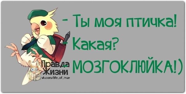 Ты моя птичка Какая _ МОЗГ ОКЛЮЙКА