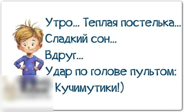 Утро Теплая постепька Сладкий сон Вдруг Удар по голове пультом Куцимутики