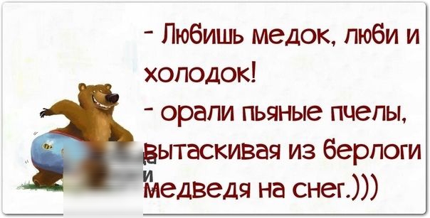 Любишь медок пюби и холодок орапи пьяные пчелы ытаскивая из берлоги медведя на снег