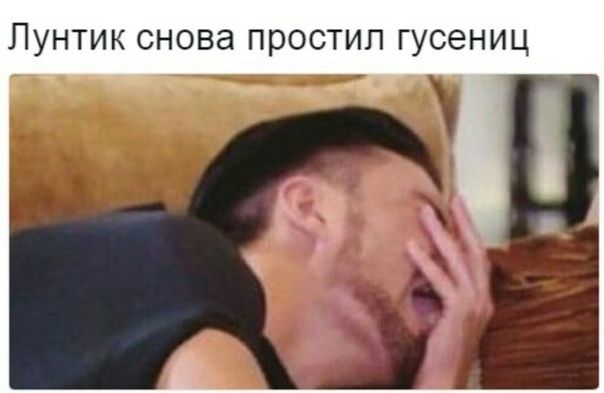 Лунтик снова простил гусениц