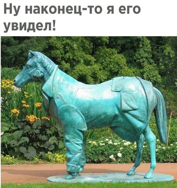 Ну наконец то я его увидел
