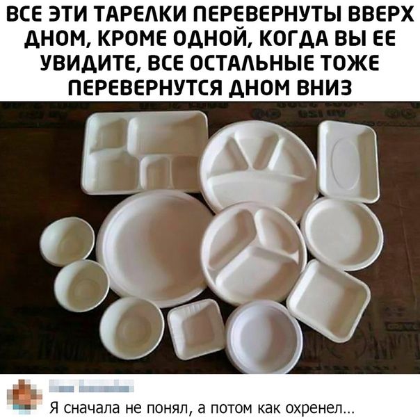 ВСЕ ЭТИ ТАРЕАКИ ПЕРЕВЕРНУТЫ ВВЕРХ ДНОМ КРОМЕ ОДНОЙ КОГДА ВЫ ЕЕ УВИАИТЕ ВСЕ ОСТАЬНЫЕ ТОЖЕ ПЕРЕВЕРНУТСЯ дНОМ ВНИЗ Я сначала НЕ ПОНЯП ПОТОМ как охренеп