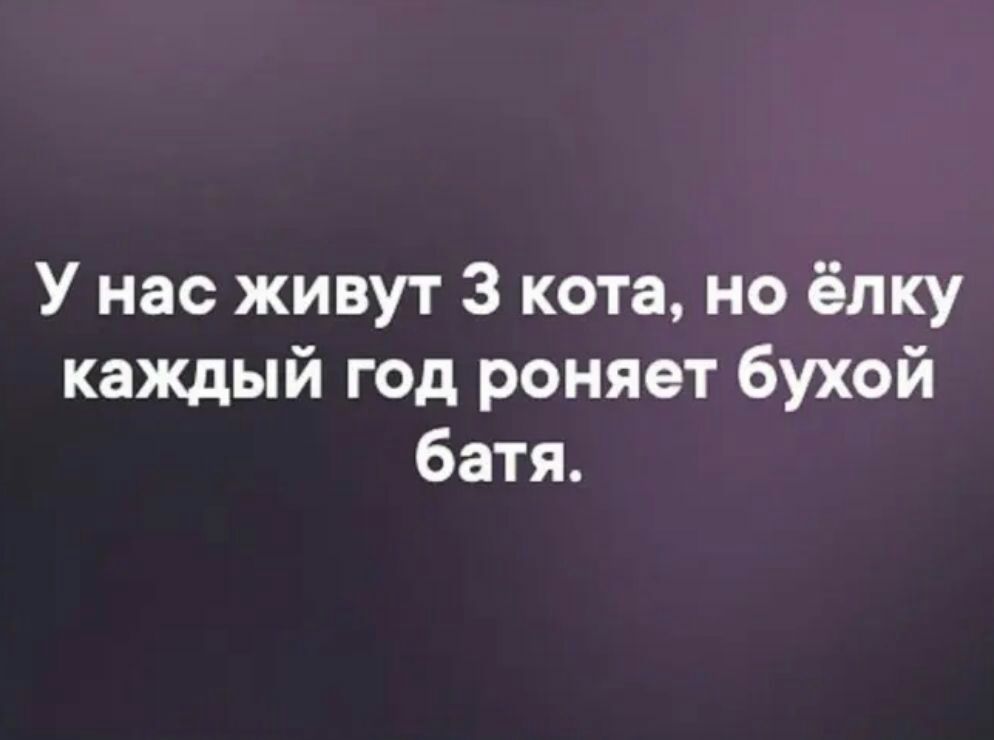 У нас живут З кота но ёлку каждый год роняет бухой батя