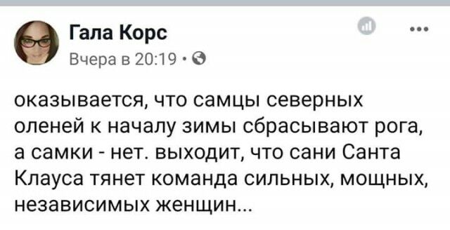 Гала Корс Вчера в 2019 В оказывается что самцы северных оленей к началу зимы сбрасывают рога а самки нет выходит что сани Санта Клауса тянет команда сильных мощных независимых женщин