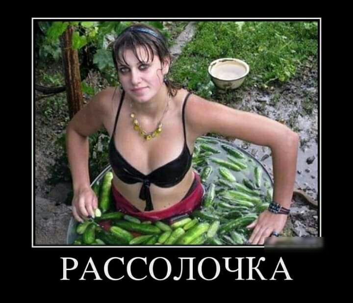 РАССОЛОЧКАЦ