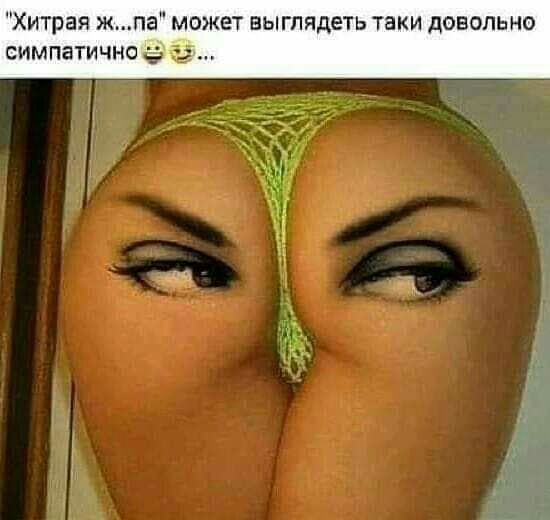 Хитрая жпа может выглядеть таки довольно симпатично а