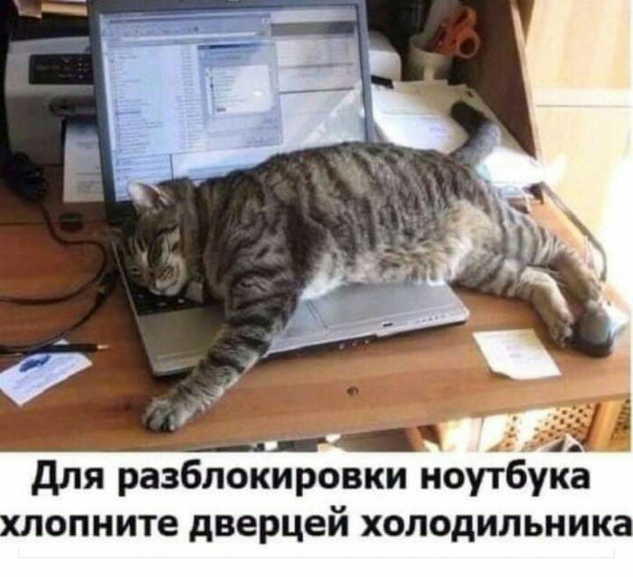 для разблокировки ноутбука опните дверцей холодильника