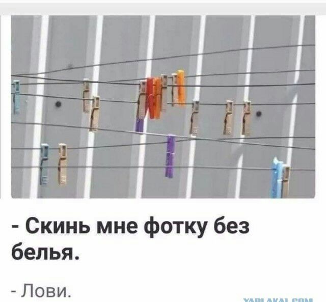 Скинь мне фотку без белья Лови