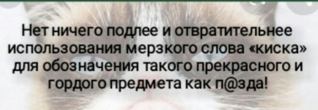 Нет ничего подпее и отвратительнее использованы мерзкого слова иска для обозначения такого прекрасного и гордого предмета как пвда