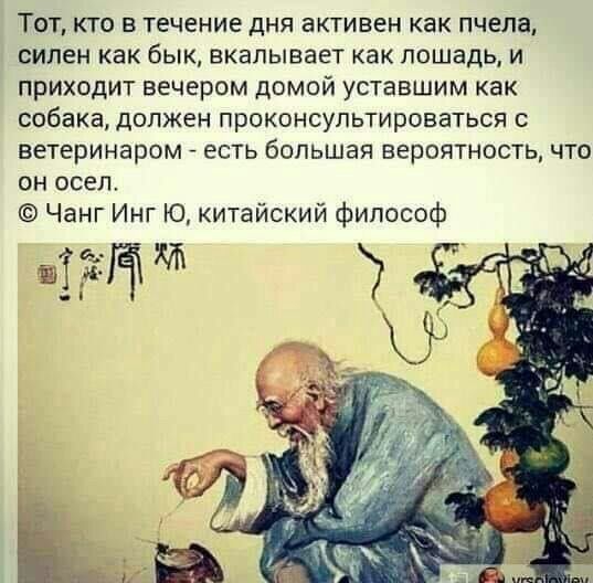 ТОТ КТО В ТЕЧЕНИЕ ДНЯ ЗКТИВЕН как пчела силен как бЫК БКЭЛЫБЗЕТ как лошадь И ПРИХОДИТ вечером ДОМОЙ УСТВВШИМ как собака ДОЛЖЕН ПРОКОНСУЛЬТИРОВЗТЬСЯ С ветеринаром ЕСТЬ большая вероятность ЧТО ОН осел Чанг Инг Ю китайский философ таг