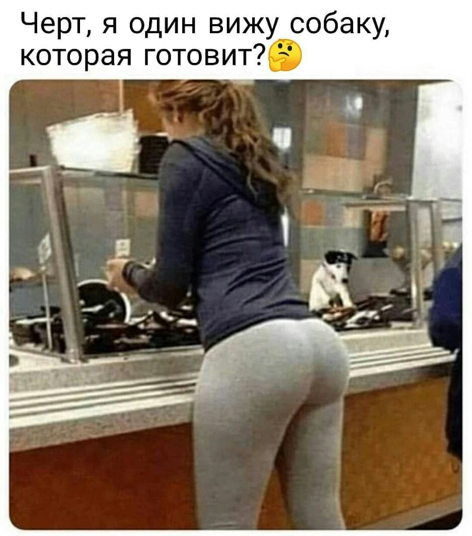 Черт я один вижу собаку которая готовит