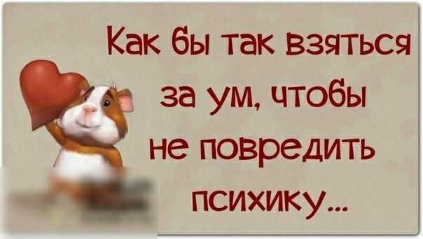 Как бы так взяться за ум чтобы не повредить психику