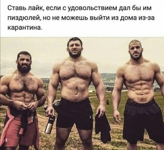 Ставь лайк если с удовольствием дал бы им пиздюлей но не можешь выйти из дома из за карантина