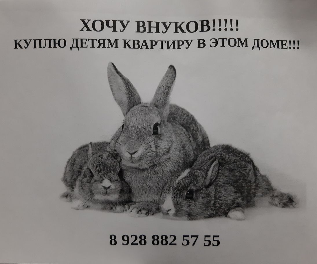 ХОЧУ ВНУКОВЦЦ куплю ДЕТЯМ КВАРТИРУ в этом домвш 8 928 882 57 55