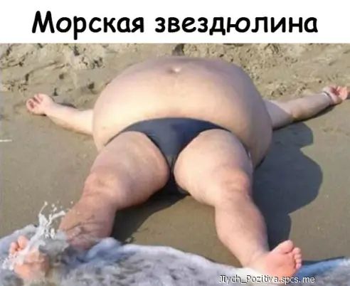 Морская звездюлина