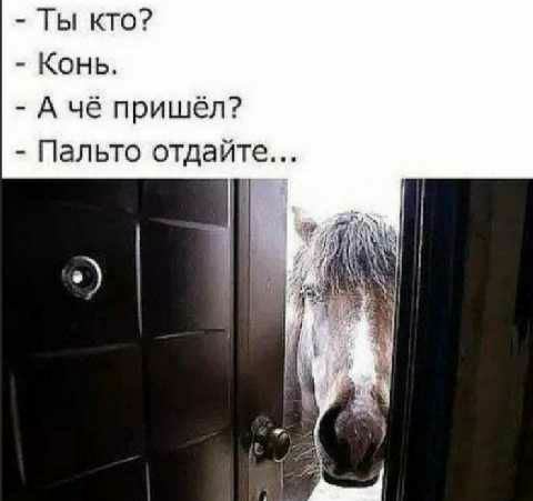 Ты кто Конь А чё пришёл Пальто отдайте