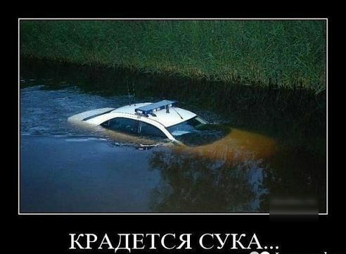 КРАДЕТСЯ сука