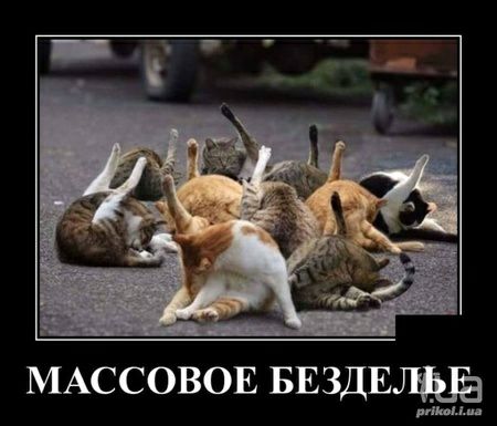 МАССОВОЕ БЕЗДЕЛЫЁ
