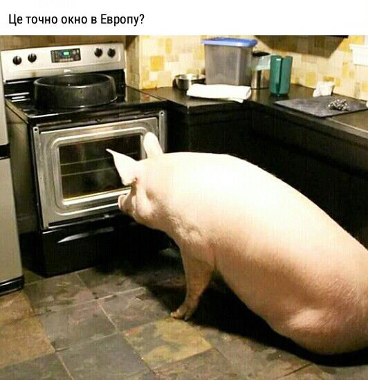 Це точно окно в Европу