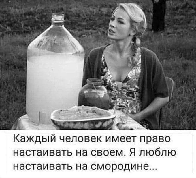 Каждый человек имеет право настаивать на своем Я люблю настаивать на смородине