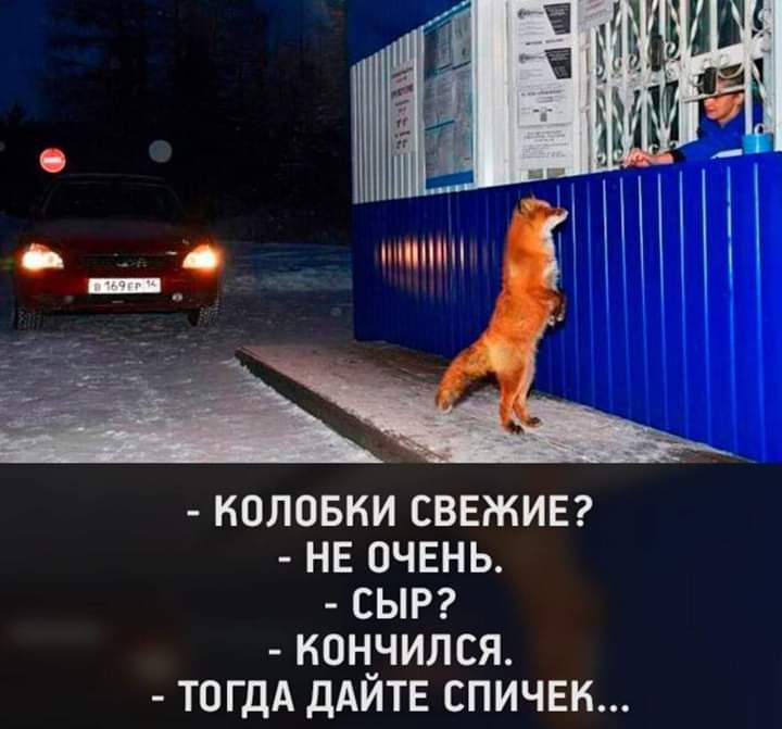 коловни СВЕЖИЕ не очень сыр ион_чился тогдА дАИТЕ спичвк