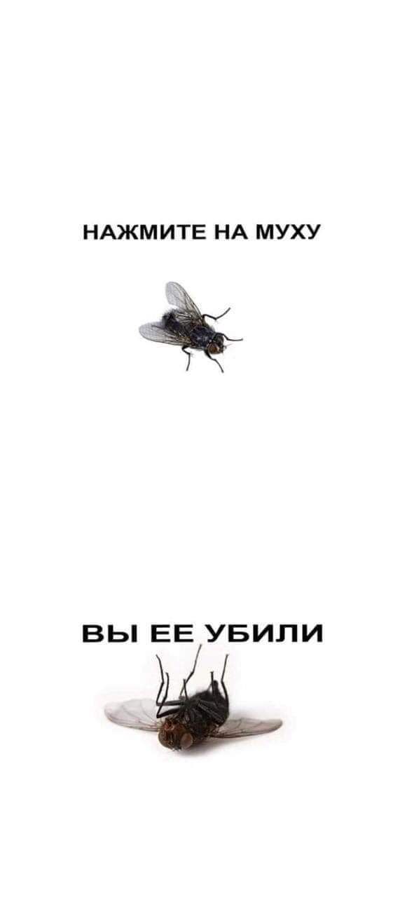 НАЖМИТЕ НА МУХУ ВЫ ЕЕ УБИЛИ