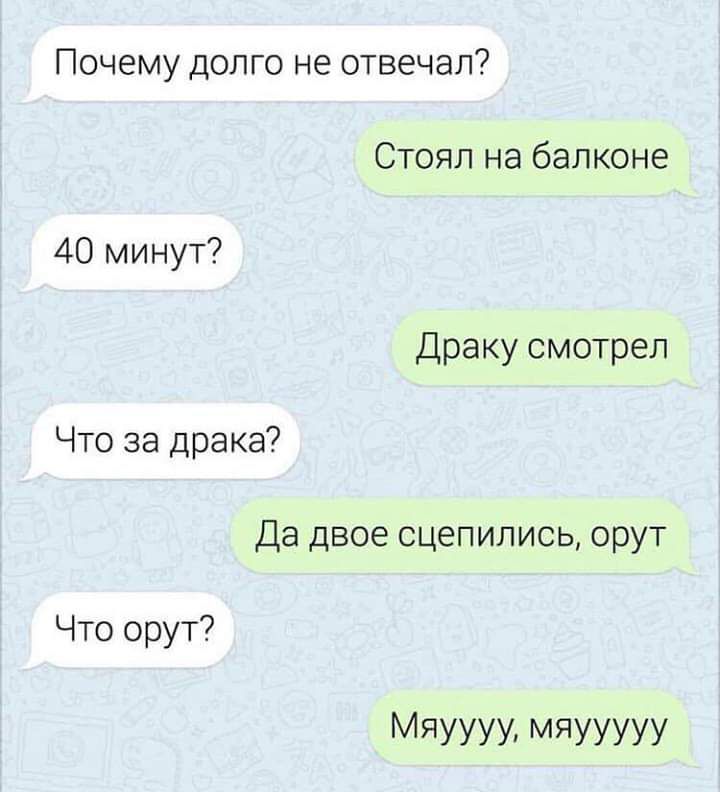 Почему долго не отвечал Стоял на балконе 40 минут Драку смотрел Что за драка Да двое сцепились орут Что орут МЯУУУУ МЯУУУУУ